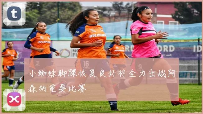小蜘蛛脚踝恢复良好将全力出战阿森纳重要比赛