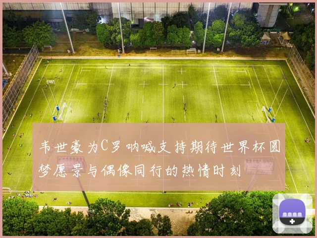 韦世豪为C罗呐喊支持期待世界杯圆梦愿景与偶像同行的热情时刻