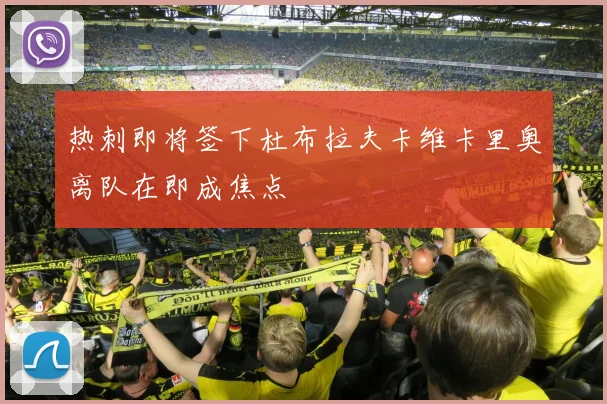 热刺即将签下杜布拉夫卡维卡里奥离队在即成焦点