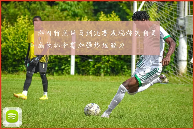 加内特点评马刺比赛表现称失利是成长机会需加强终结能力
