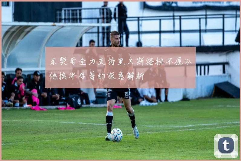 东契奇全力支持里夫斯搭档不愿以他换字母哥的深意解析