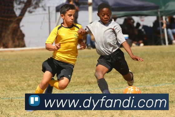 米兰体育在线登录网址APP 封面图